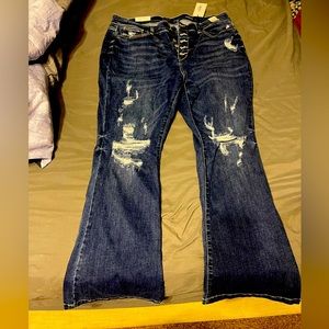 Brand New Judy Blue Jeans